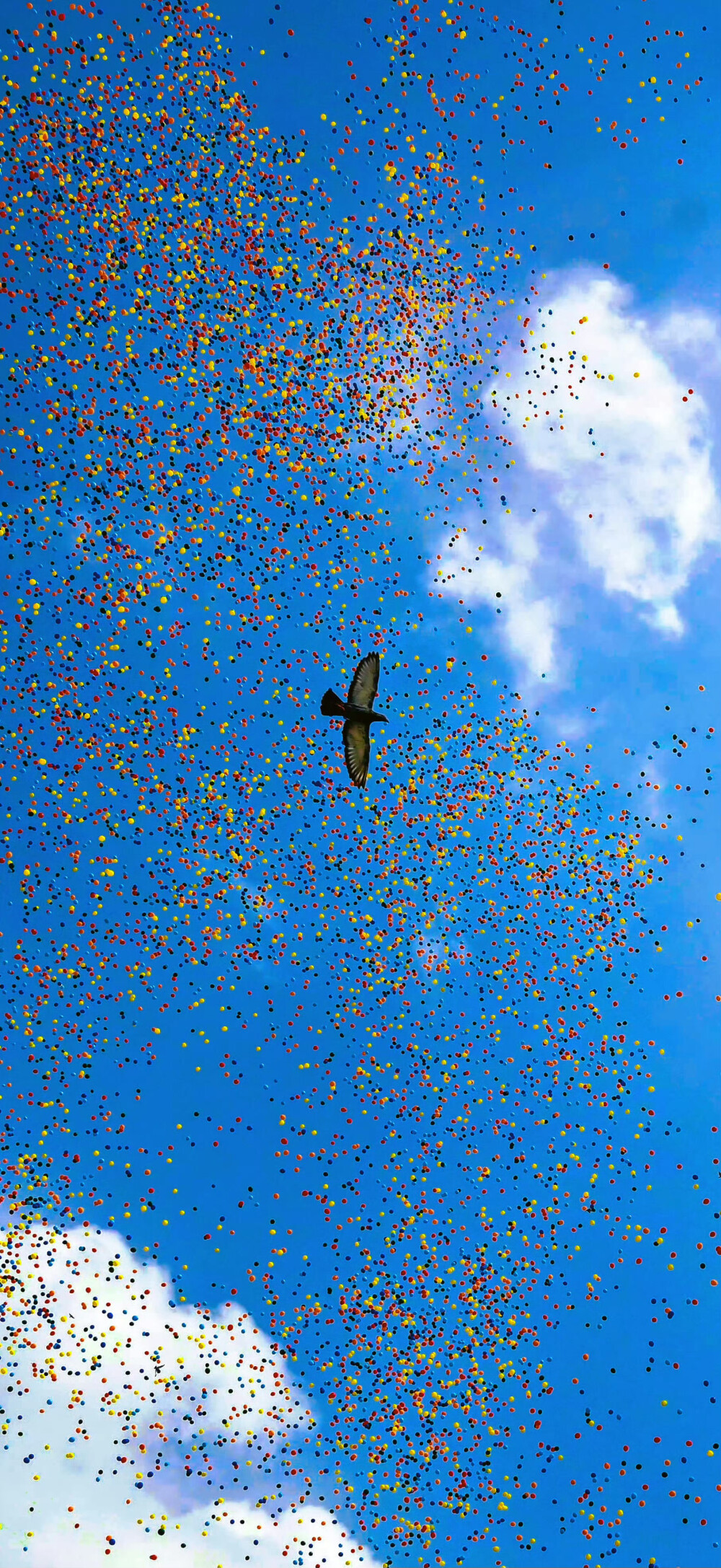 同志，手机该红起来了