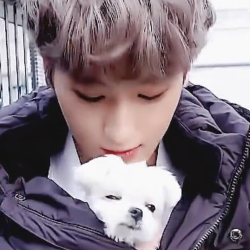 丘比特拜托拜托