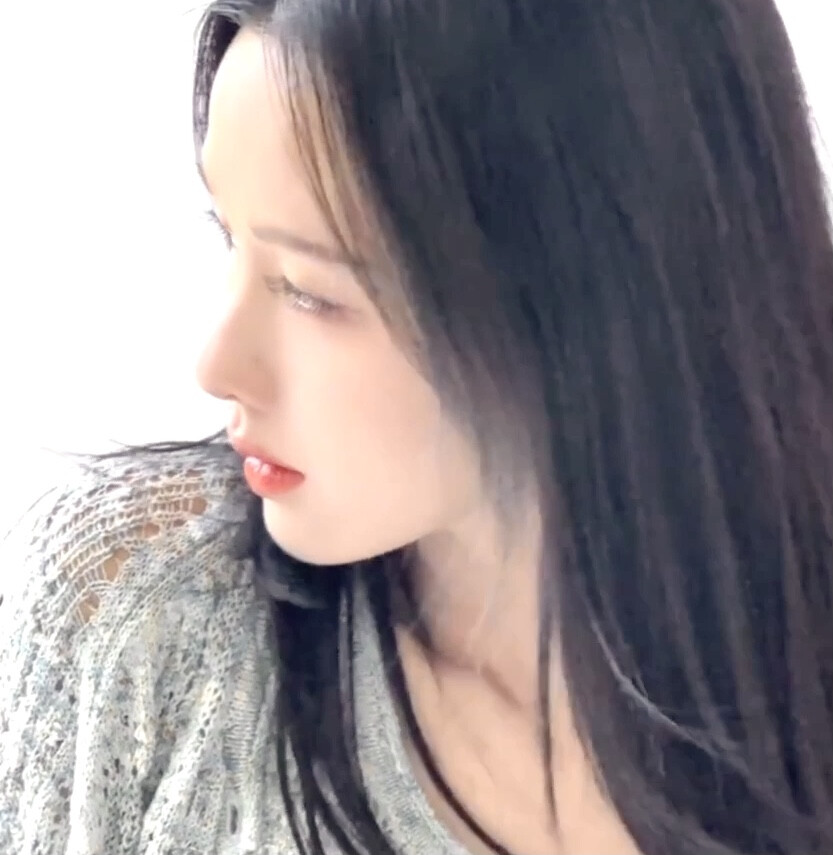 一只可爱的嘟嘟猫