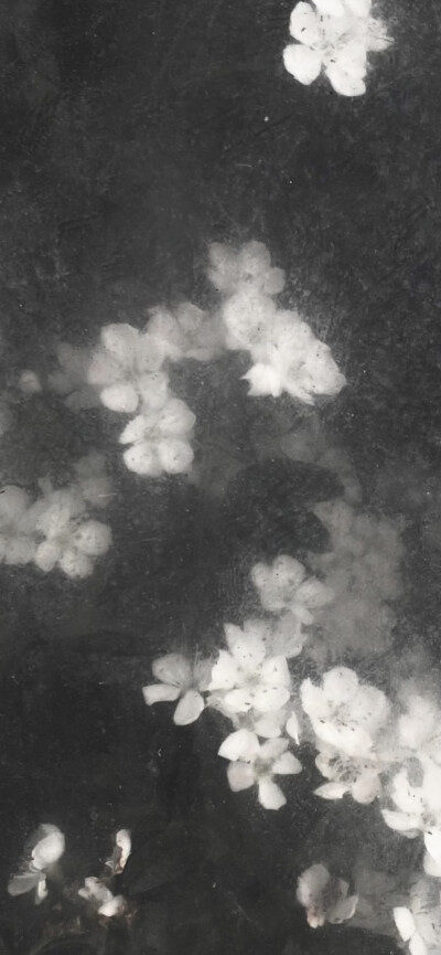 风格壁纸