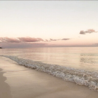 小猫的心事咕噜咕噜咕噜⋆☽︎︎·̩͙
©WintersonneR