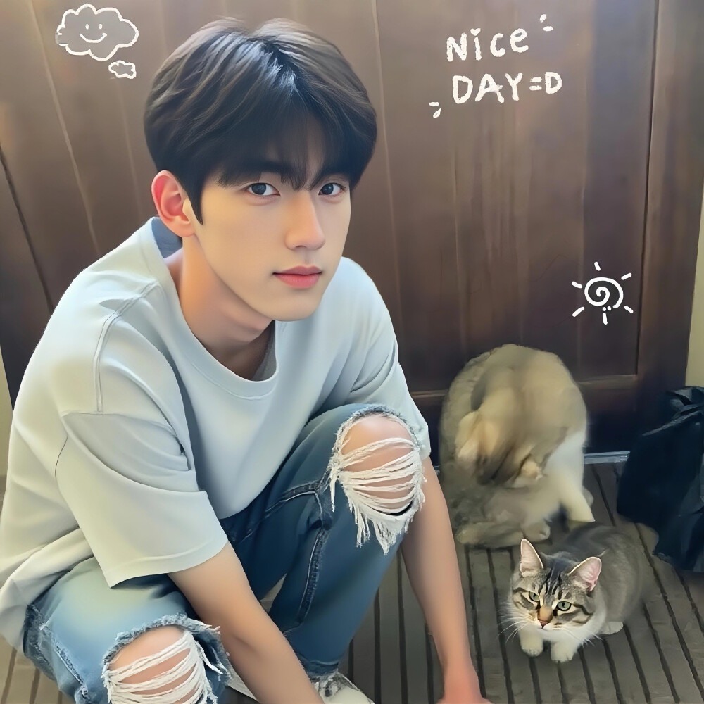 与其被动失眠不如主动熬夜˚⌯•༝•⌯˚