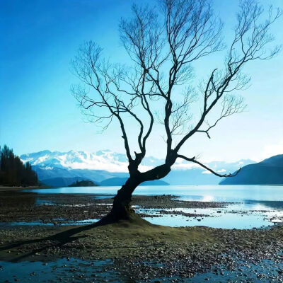 背景图