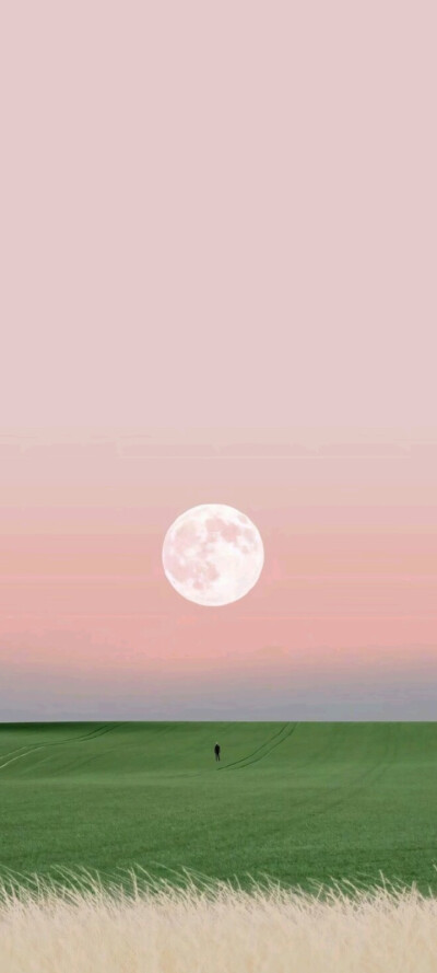 壁纸