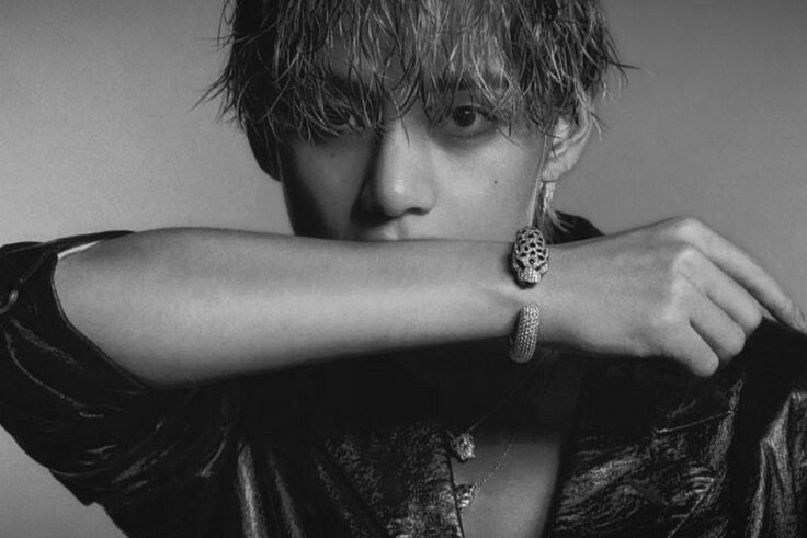 They wear refinement like a second skin, not as a display, but as a habit forged by generations