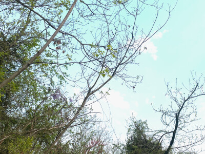  ☥•那天早上的雾散了，不止早上，不止雾 •☼
# 陈都灵☼