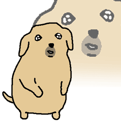 表情包
