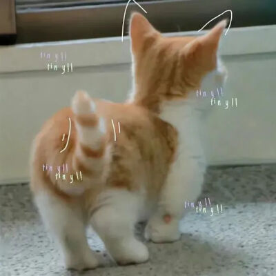 /
