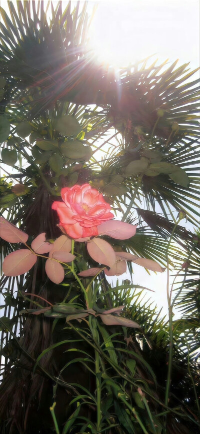 是你们说