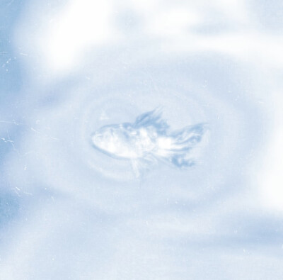 过客何须千千结