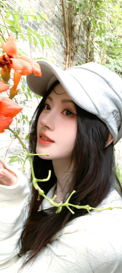 壁纸