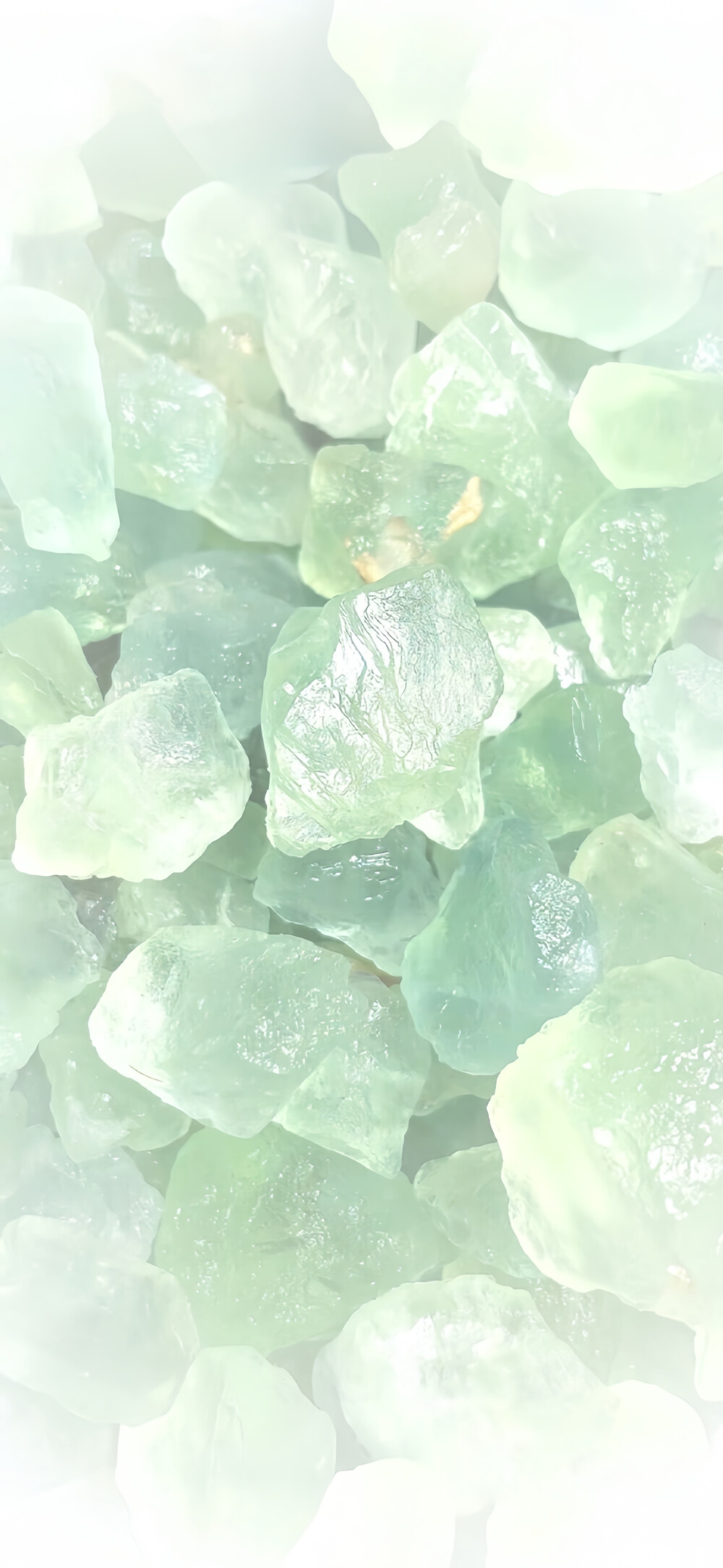 图源小红薯：小鱼卷饼