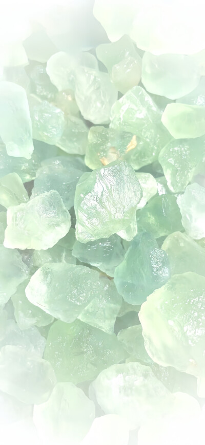 图源小红薯：小鱼卷饼