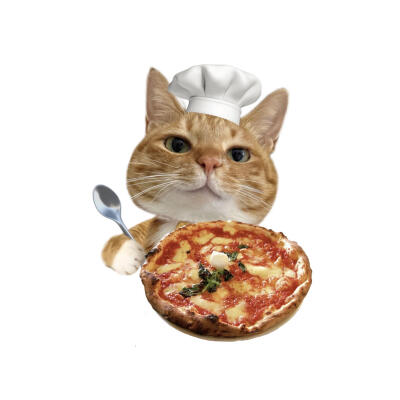 小猫美食白底头像