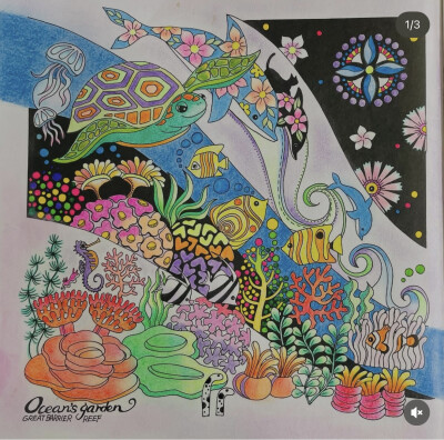 涂色
