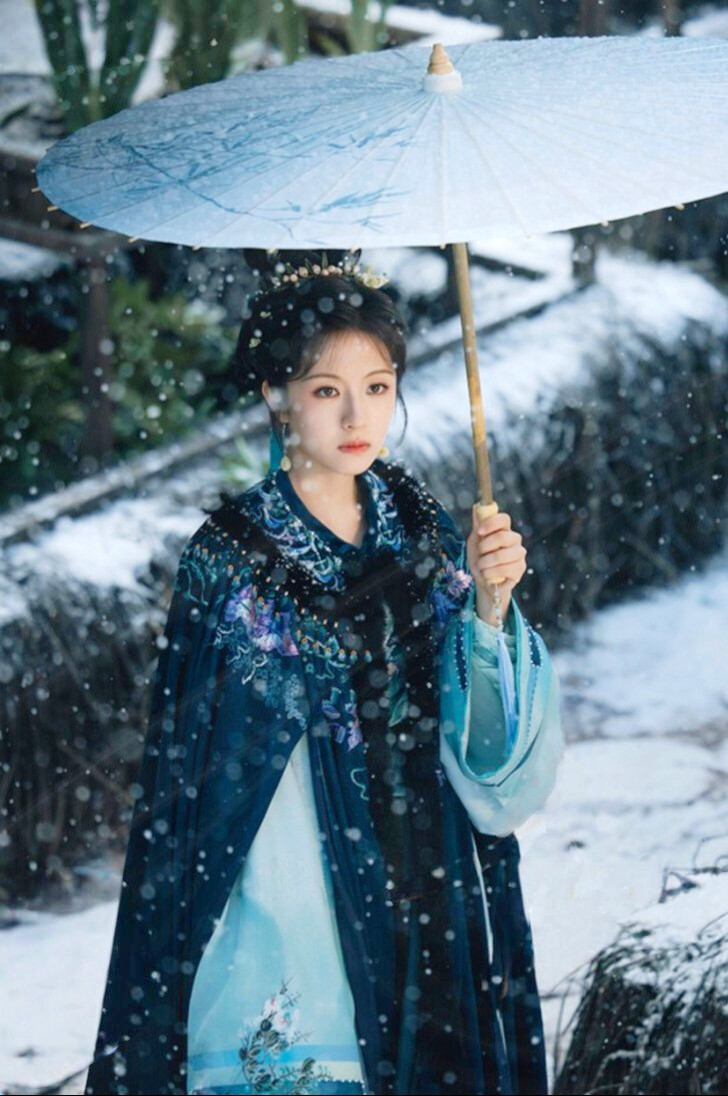 朝雪录 秦莞