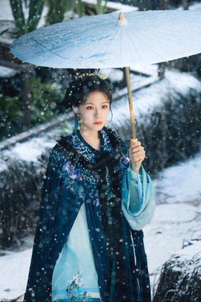 朝雪录 秦莞