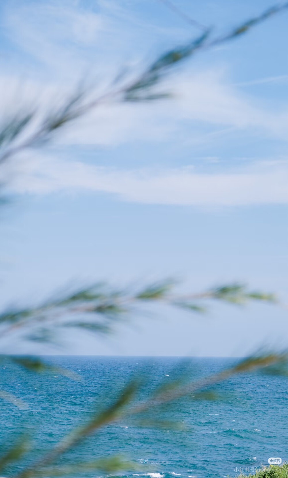 ocean