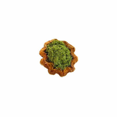 蛋挞白底头像