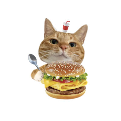 小猫美食白底头像
