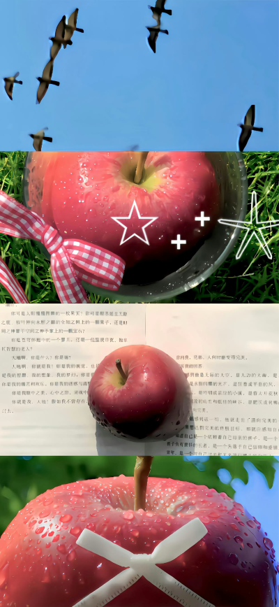 是你们说