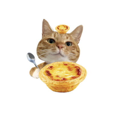 小猫美食白底头像
