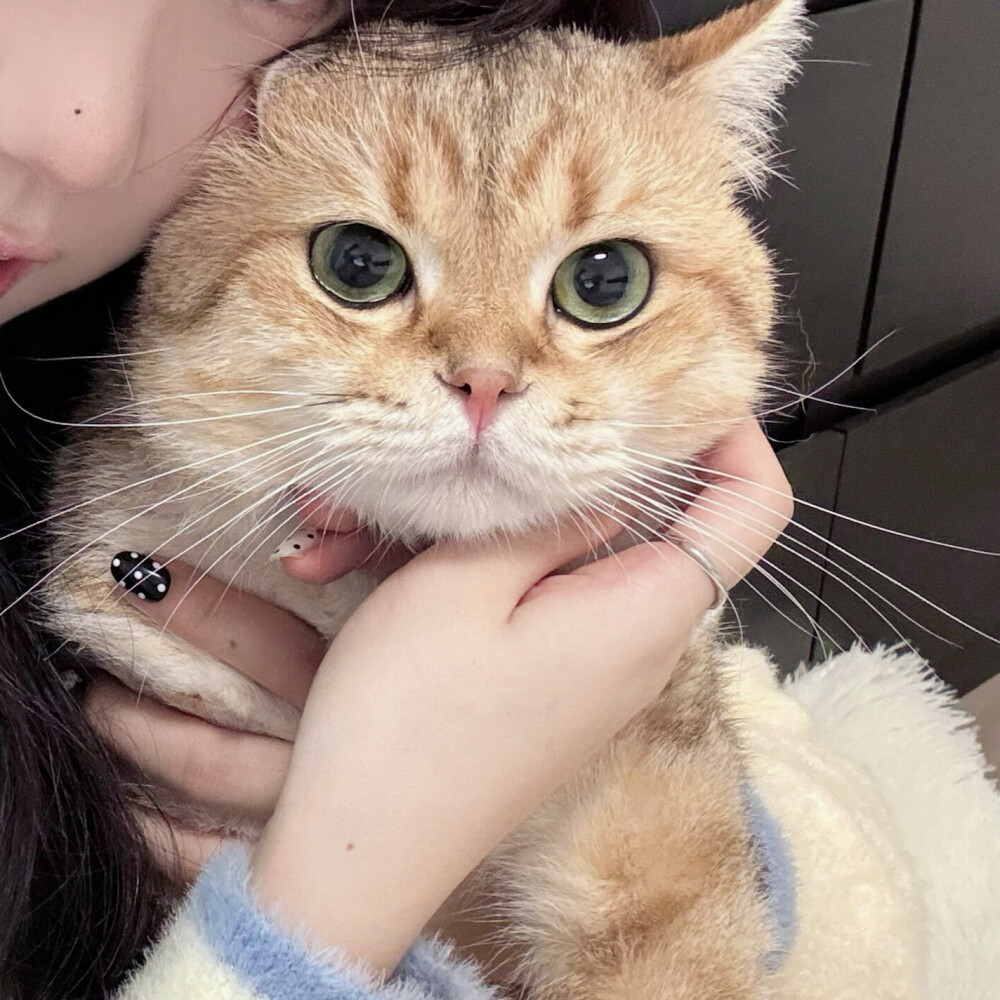 小红书：601657077