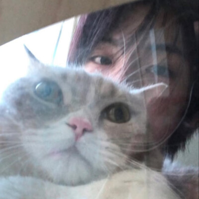 迷雾