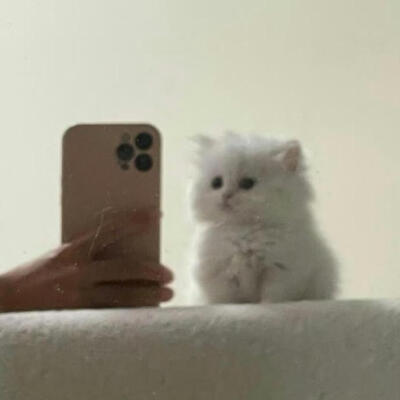 朋友圈WeChat背景图