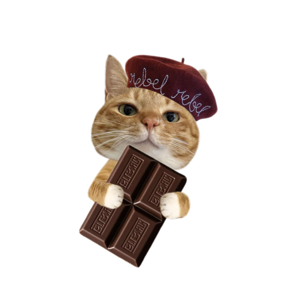 小猫美食白底头像
