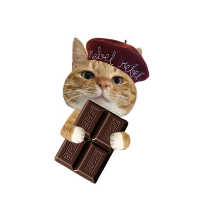 小猫美食白底头像