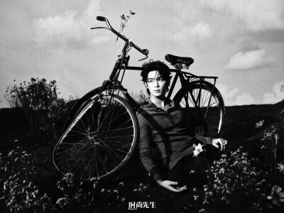 吴磊