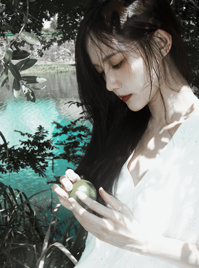 李一桐