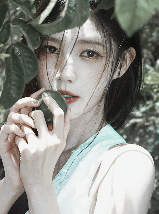 李一桐