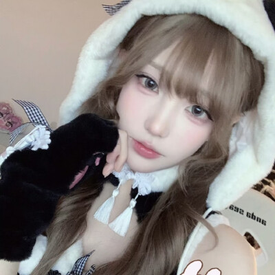 萌猫本体