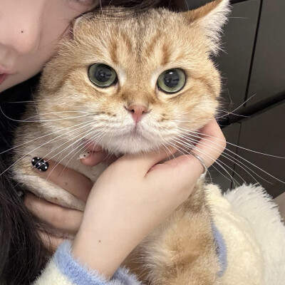 对象不是人情头