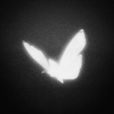 等我们心脏共鸣 等我的隐喻被你读懂