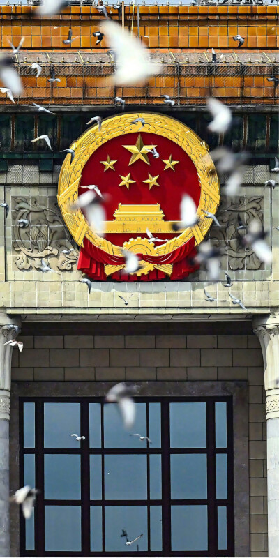 栖迟