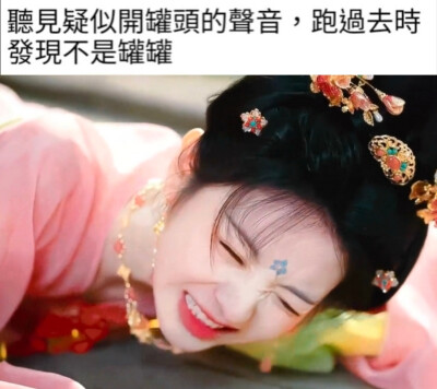 小猫