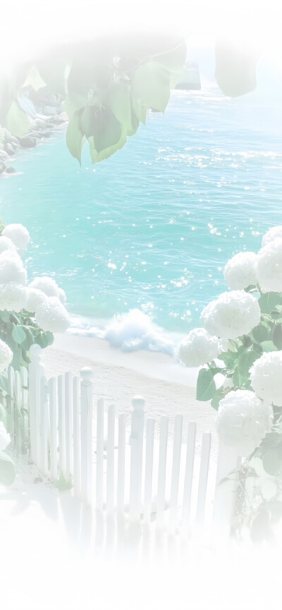 图源小红薯：小鱼卷饼