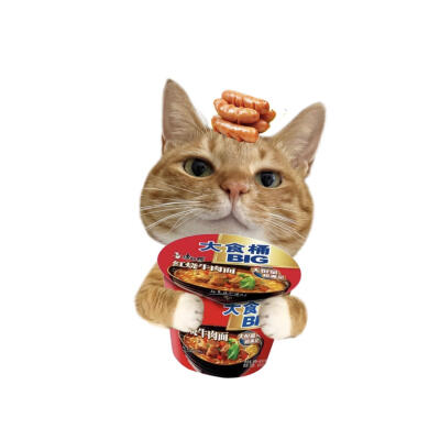 小猫美食白底头像