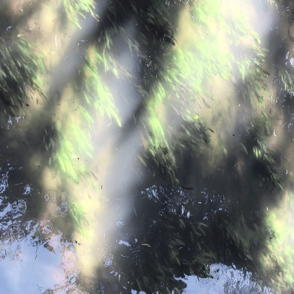 我的生活绕着彩色碎片东升西落