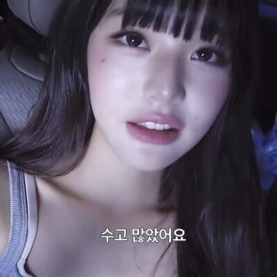 想宝猪
