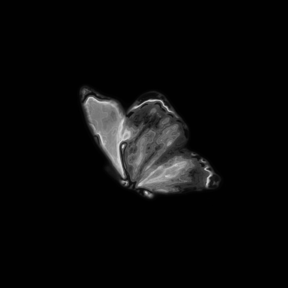 等我们心脏共鸣 等我的隐喻被你读懂