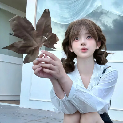 闺蜜头像
喜欢点赞关注收藏