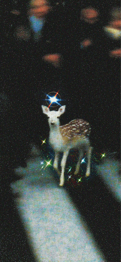 是你们说