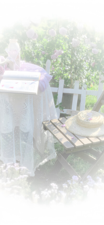 图源小红薯：小鱼卷饼