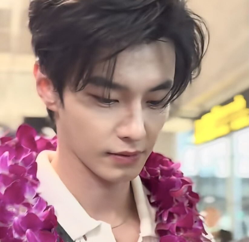 夏日来自何与的第一封情书