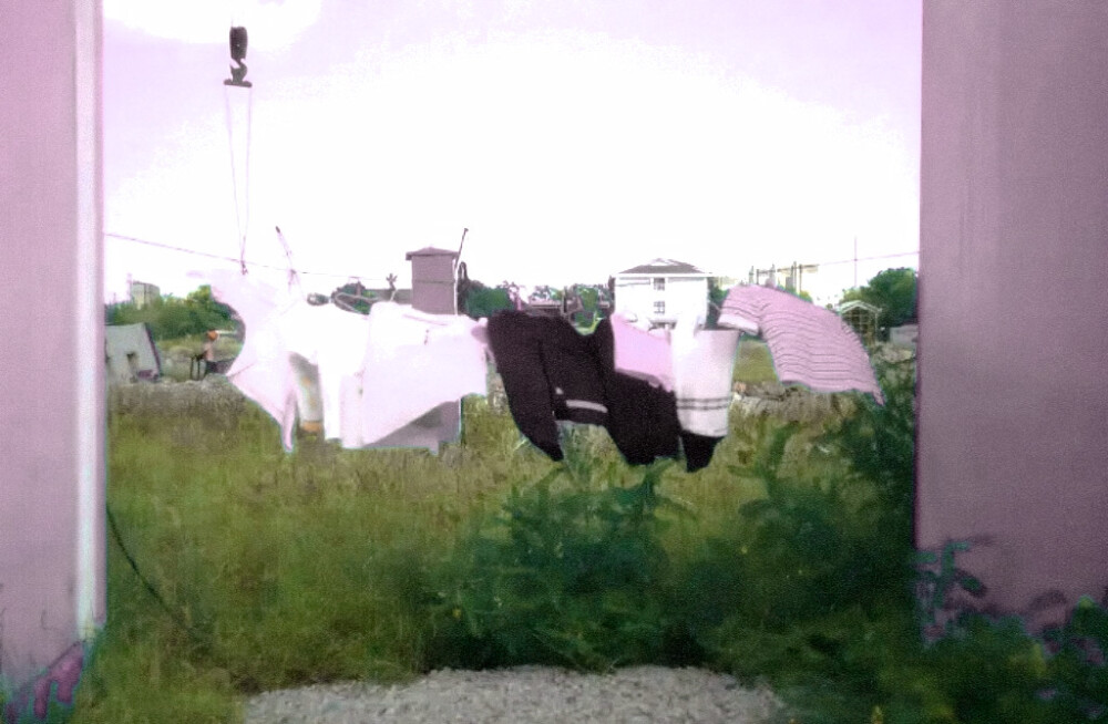 还好 美好占了世界的大多数
起司名札
原程韫