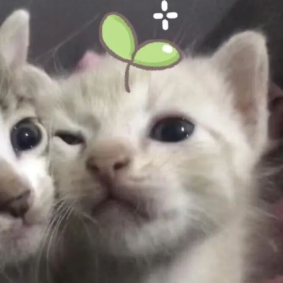 uwu